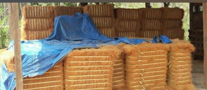 Cocopeat Packaging